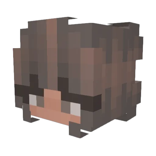 Allimak7 Minecraft avatar head, 3D render