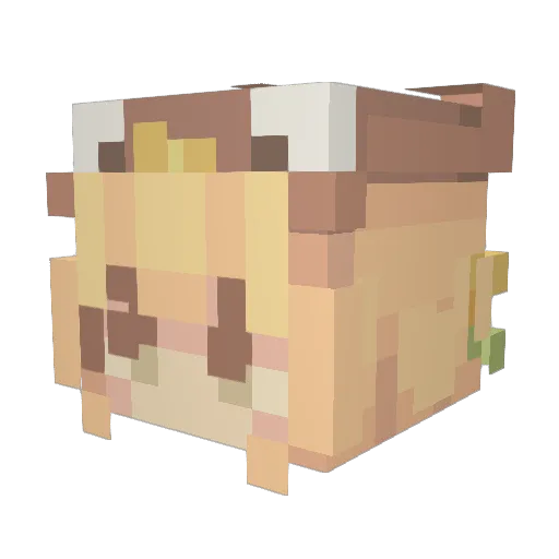 AllisR Minecraft avatar head, 3D render