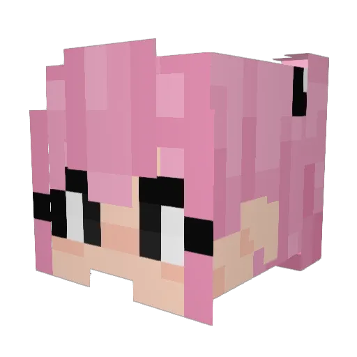 Allison4ever Minecraft avatar head, 3D render