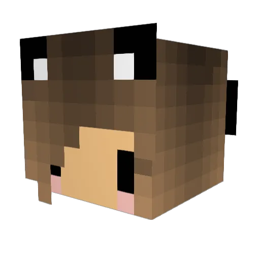 Allison929 Minecraft avatar head, 3D render