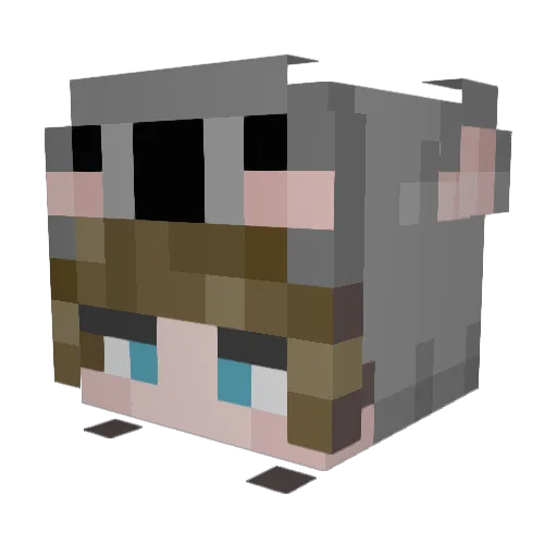 AllisonLover Minecraft avatar head, 3D render