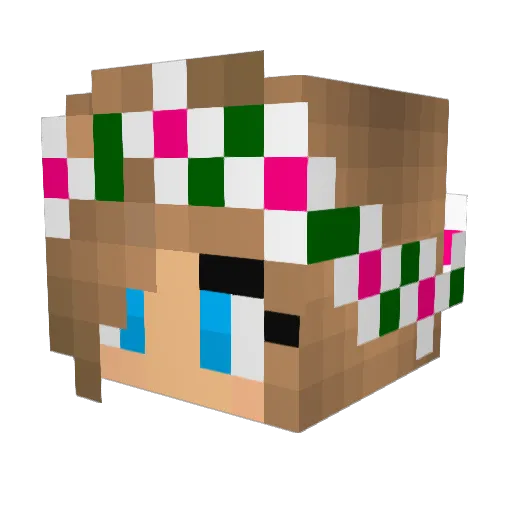 AllisonNathan123 Minecraft avatar head, 3D render