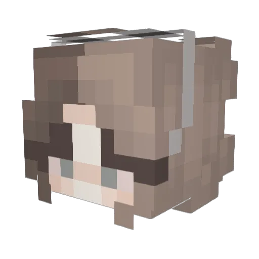 AllisonSunflower Minecraft avatar head, 3D render