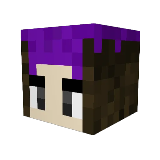 Allman113 Minecraft avatar head, 3D render