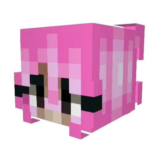 AlloMonAmour Minecraft avatar head, 3D render