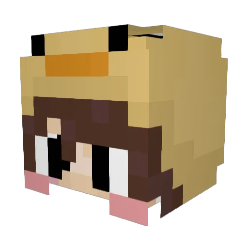 Allquackers Minecraft avatar head, 3D render