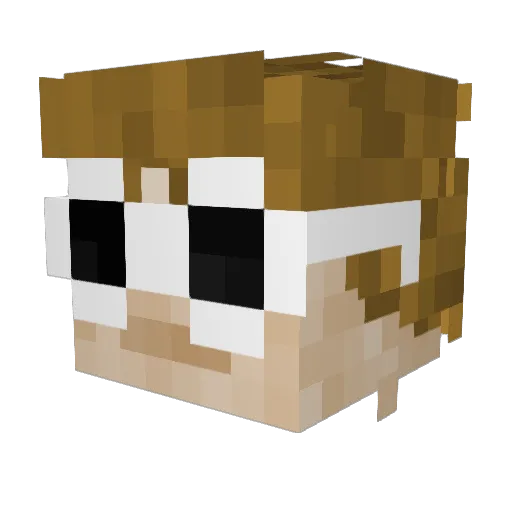 Allseda Minecraft avatar head, 3D render