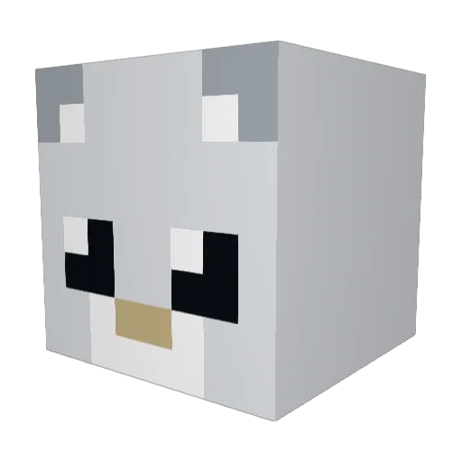 Allstar135 Minecraft avatar head, 3D render