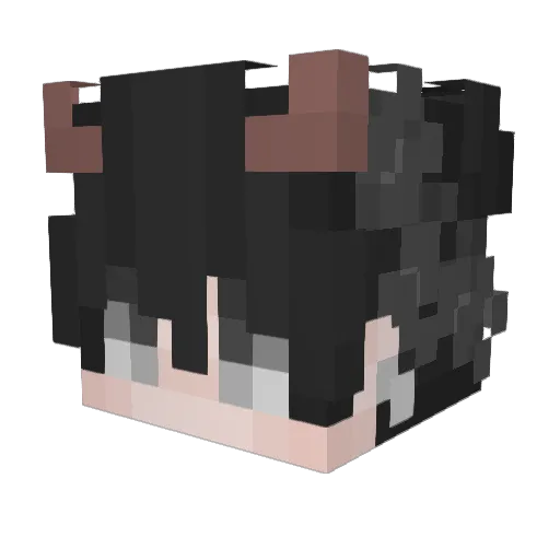 Allter_Bull Minecraft avatar head, 3D render