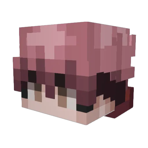AlluringBench20 Minecraft avatar head, 3D render