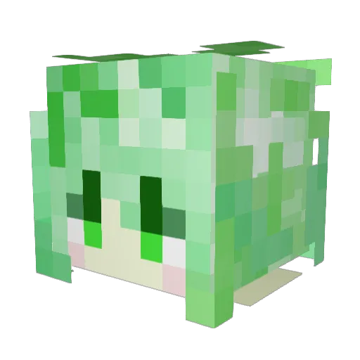 AllusiveNine817 Minecraft avatar head, 3D render