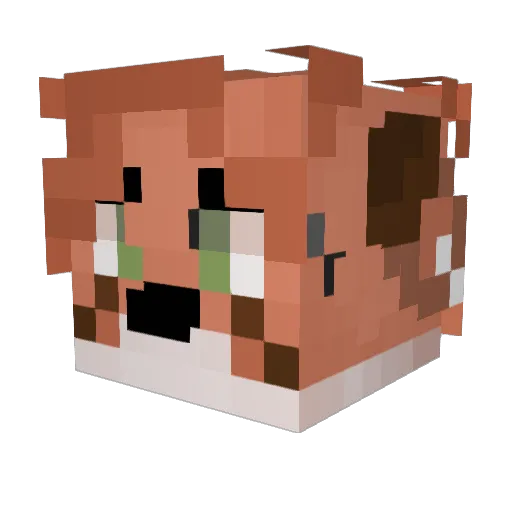 AllusivePlum365 Minecraft avatar head, 3D render