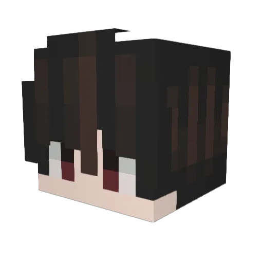 Allusive_ Minecraft avatar head, 3D render