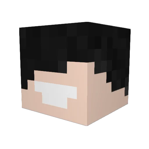 Alluusio Minecraft avatar head, 3D render