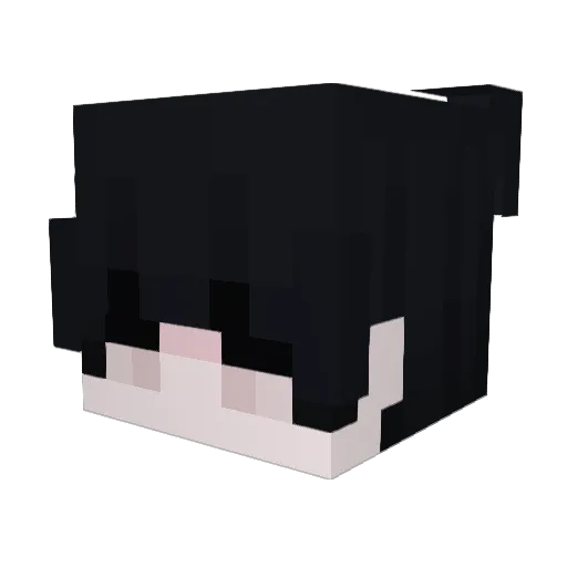 Allversee Minecraft avatar head, 3D render