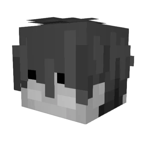Allways_dudh Minecraft avatar head, 3D render