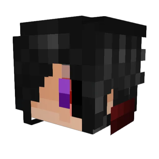 Allwentblack Minecraft avatar head, 3D render