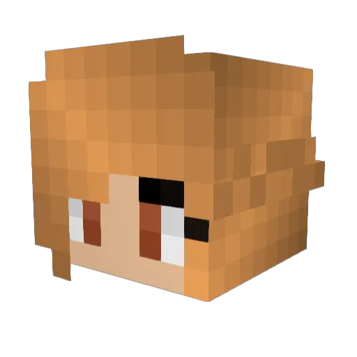 Ally07 Minecraft avatar head, 3D render