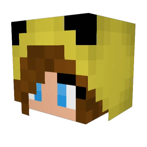 Ally0802 Minecraft avatar head, 3D render