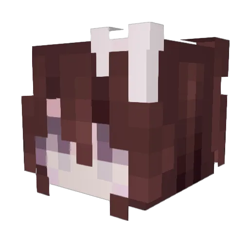 Ally555 Minecraft avatar head, 3D render