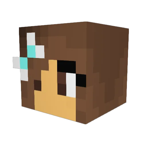 Ally9488 Minecraft avatar head, 3D render