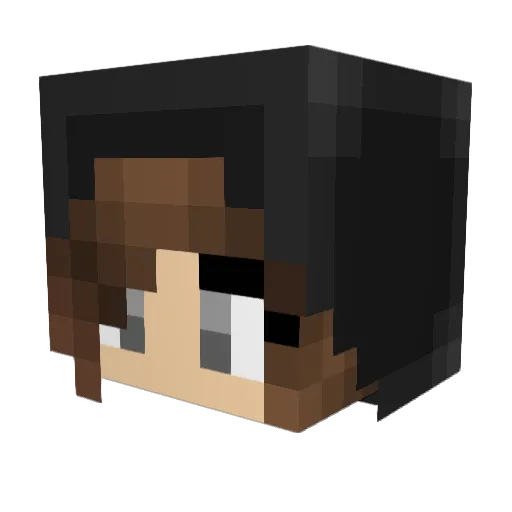 Ally9528 Minecraft avatar head, 3D render