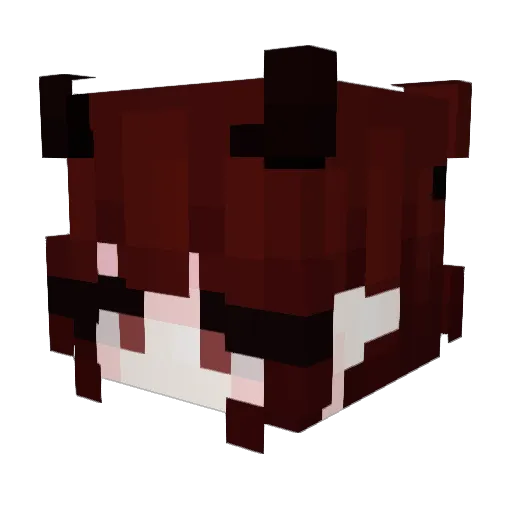 AllyBear8008 Minecraft avatar head, 3D render