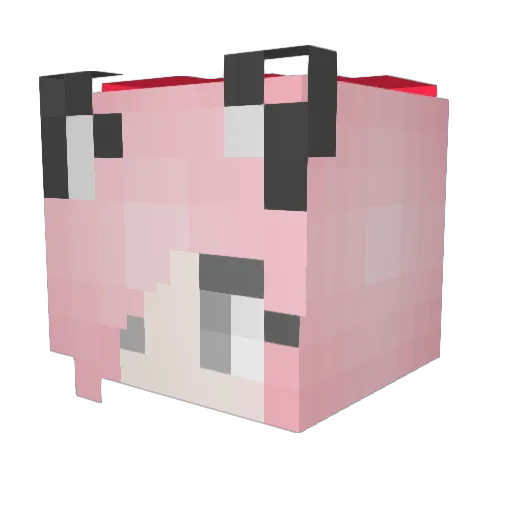 AllyCat5235 Minecraft avatar head, 3D render