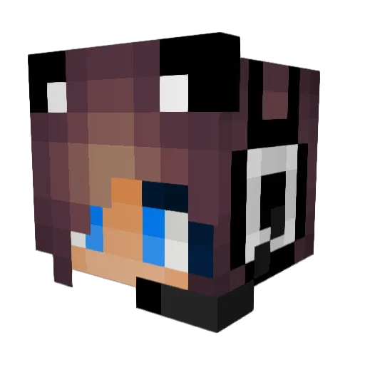 AllyKitten1211 Minecraft avatar head, 3D render