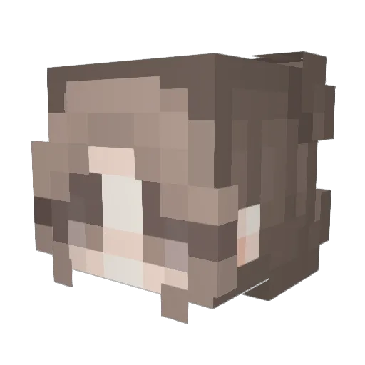 AllyWhale Minecraft avatar head, 3D render