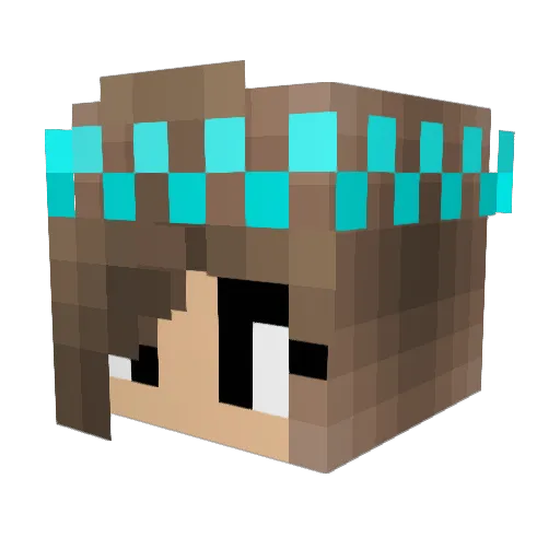 Ally_1270 Minecraft avatar head, 3D render
