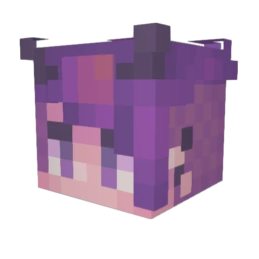 Ally___Cat Minecraft avatar head, 3D render