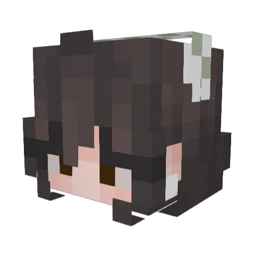 Allyballygator Minecraft avatar head, 3D render