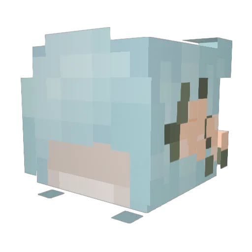 Allycat101 Minecraft avatar head, 3D render