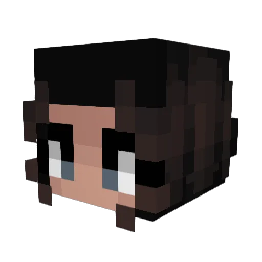 Allycat981 Minecraft avatar head, 3D render