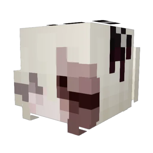 Allyish Minecraft avatar head, 3D render
