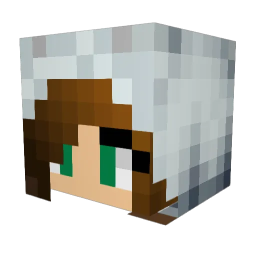 Allymay_420 Minecraft avatar head, 3D render