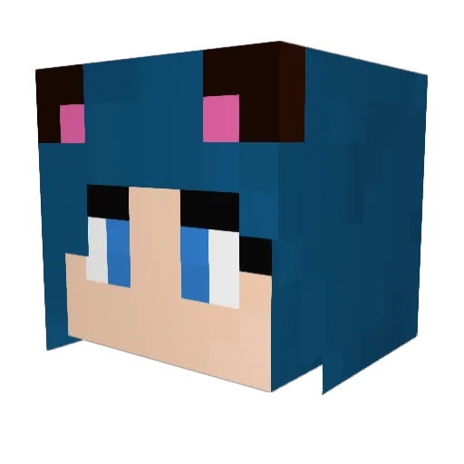 Allymonies Minecraft avatar head, 3D render