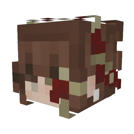 Allyn2019 Minecraft avatar head, 3D render