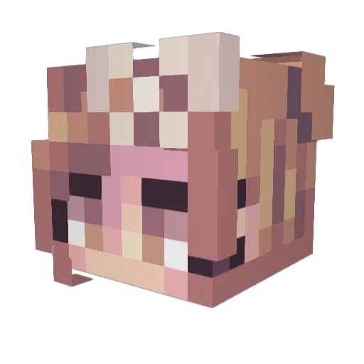 Allyouneedisme Minecraft avatar head, 3D render