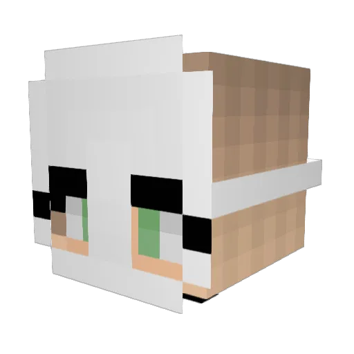 Allys_lp Minecraft avatar head, 3D render