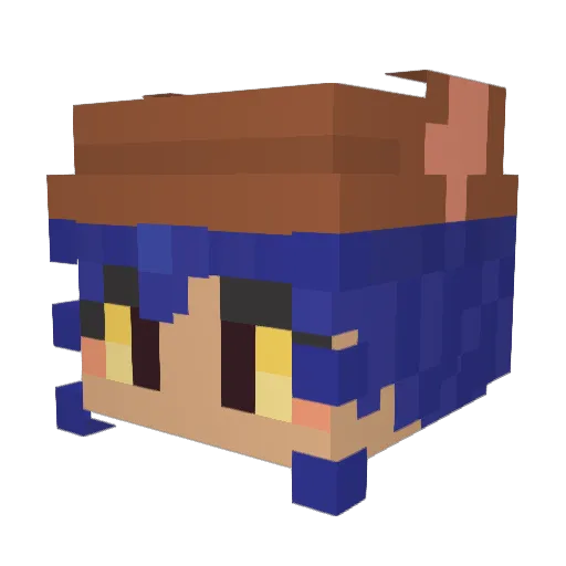 Allyson5535 Minecraft avatar head, 3D render