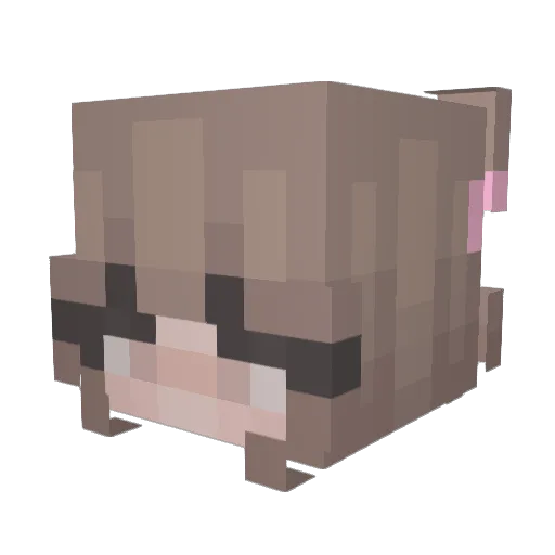 Allysonnn_ Minecraft avatar head, 3D render
