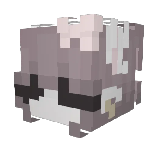 Allysza Minecraft avatar head, 3D render