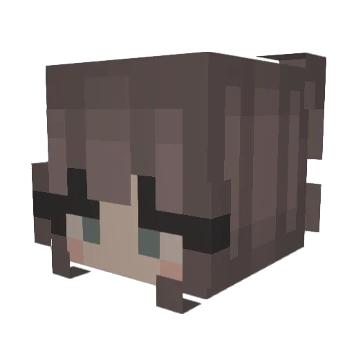 Allyyyy_ Minecraft avatar head, 3D render