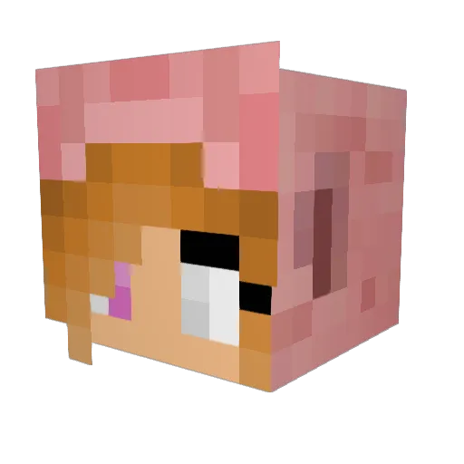 Alma05 Minecraft avatar head, 3D render