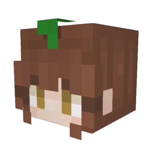 AlmaRowan Minecraft avatar head, 3D render