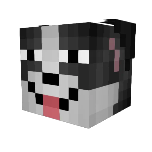 Almeidas_ Minecraft avatar head, 3D render