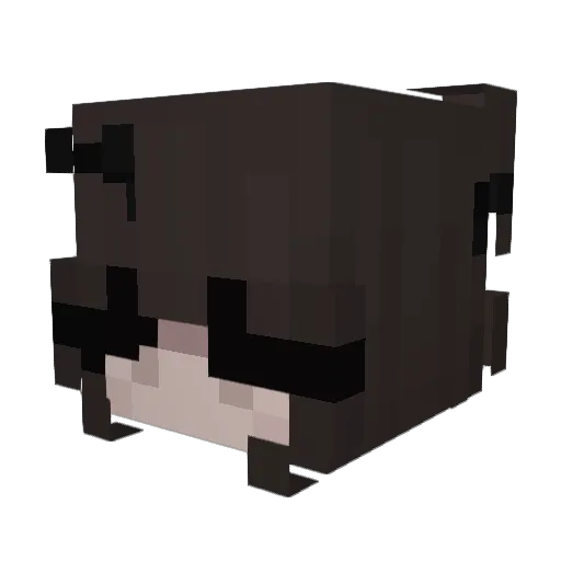Almightyandy90 Minecraft avatar head, 3D render