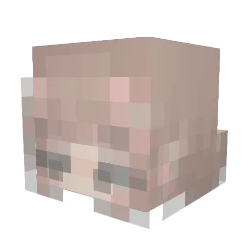 AlmondFlower Minecraft avatar head, 3D render